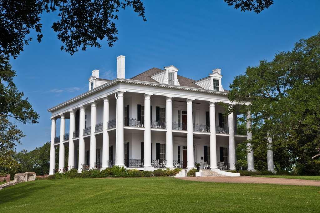 Dunleith Historic Inn Natchez Buitenkant foto