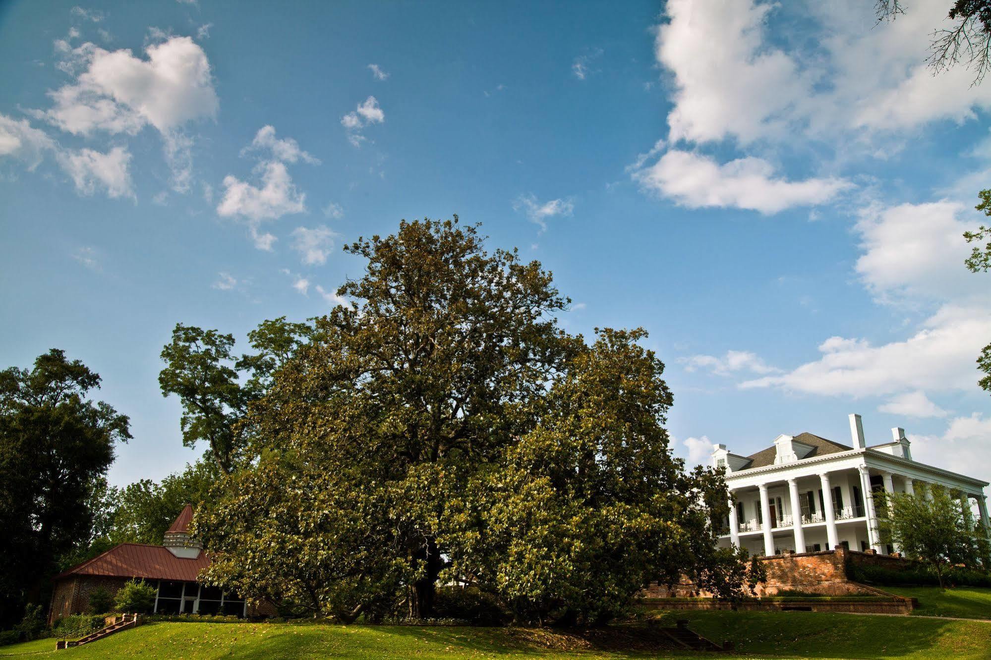 Dunleith Historic Inn Natchez Buitenkant foto